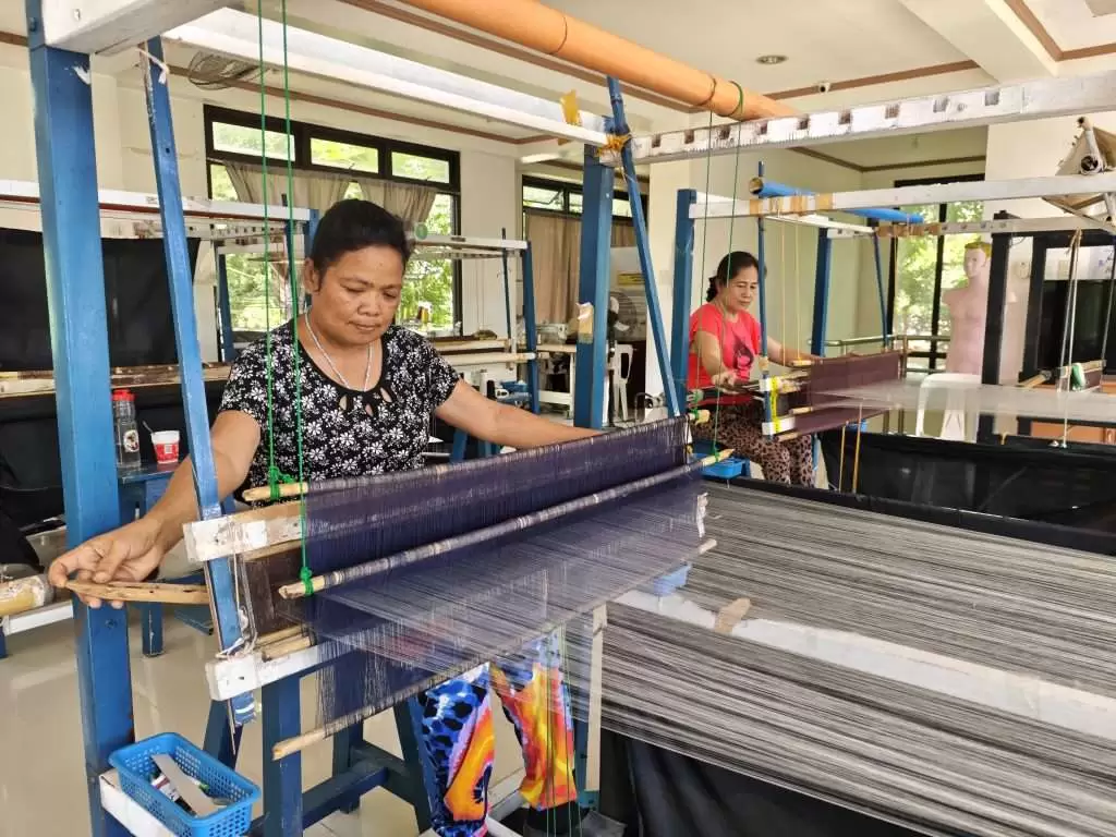 Fiber XMach pineapple fiber extractor developed by Monalyn Oloroso