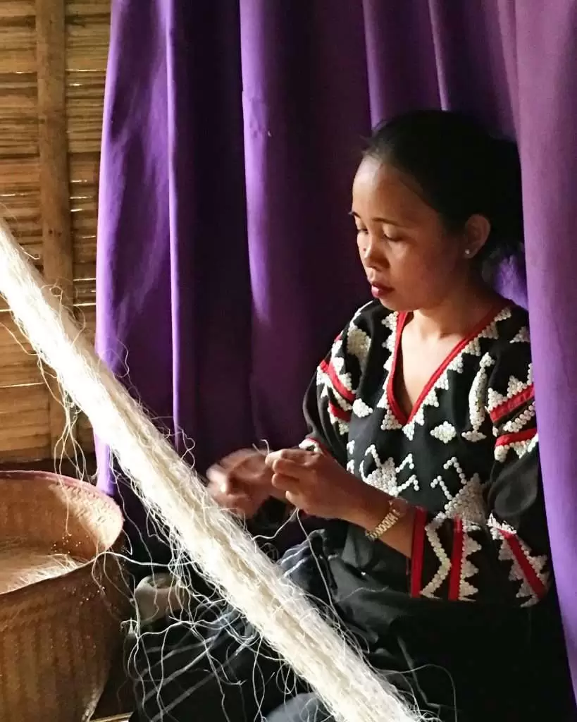 Fiber XMach pineapple fiber extractor developed by Monalyn Oloroso