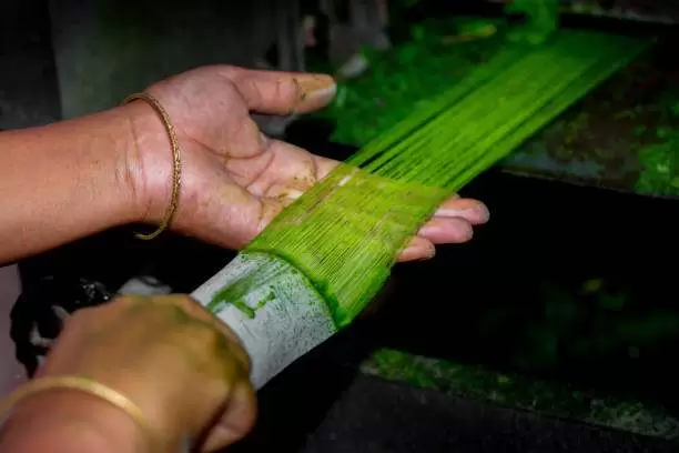 Fiber XMach pineapple fiber extractor developed by Monalyn Oloroso