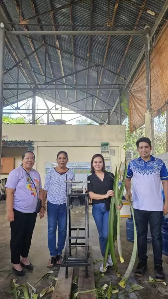 Fiber XMach extracting pineapple leaf fibers